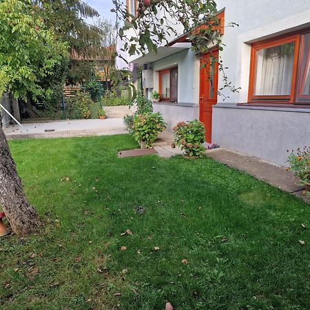 Apartment Near Center Szarajevó Kültér fotó