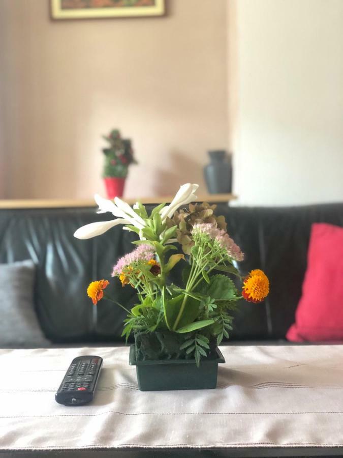 Apartment Near Center Szarajevó Kültér fotó